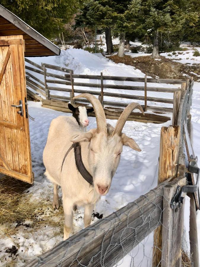Апартаменты T2- 4Pers- Chamrousse Bachat Bouloud Экстерьер фото